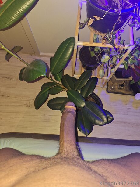 Naakte gelekte OnlyFans-foto van U370740840