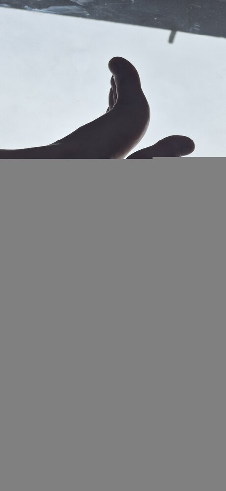 Duckling Cl