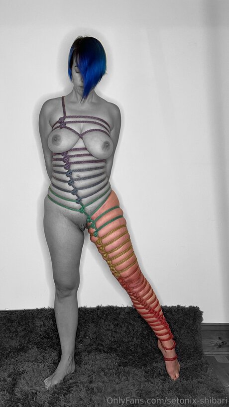 Setonix Shibari