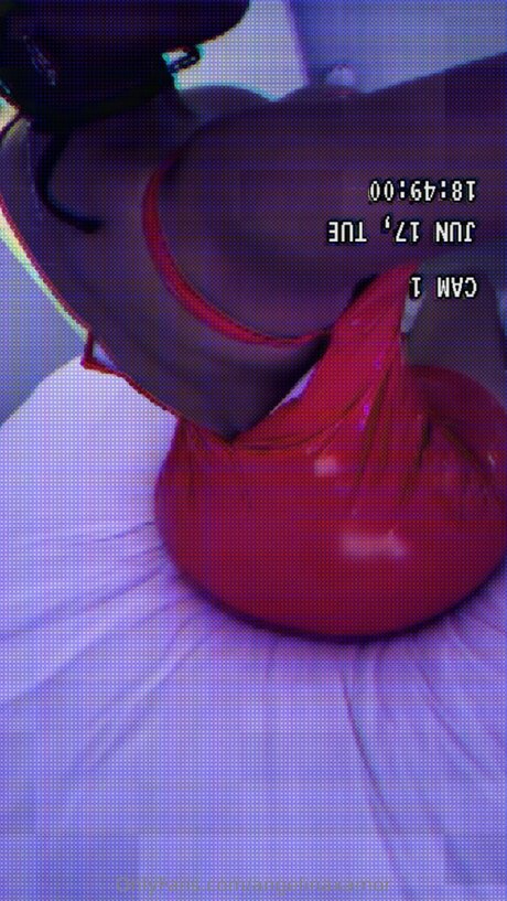 Angelinaxamor