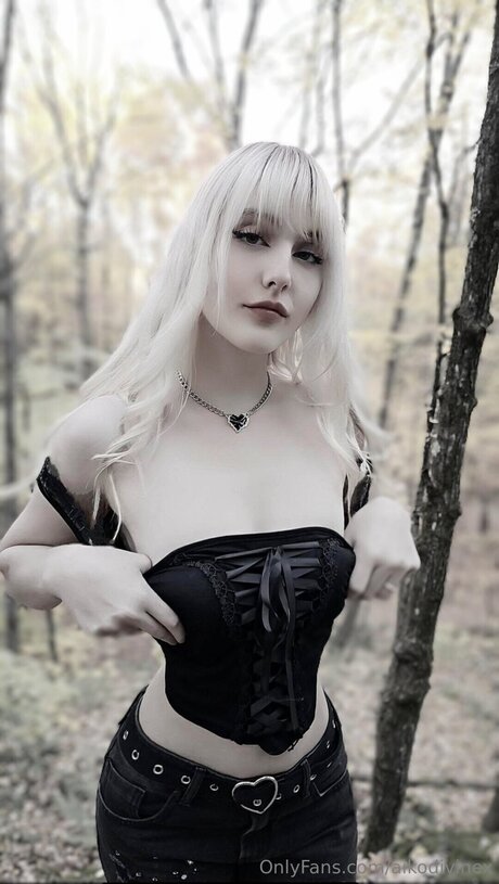 Aikodivinex