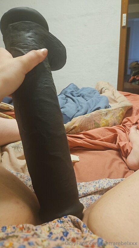 Sierrarebelxxx