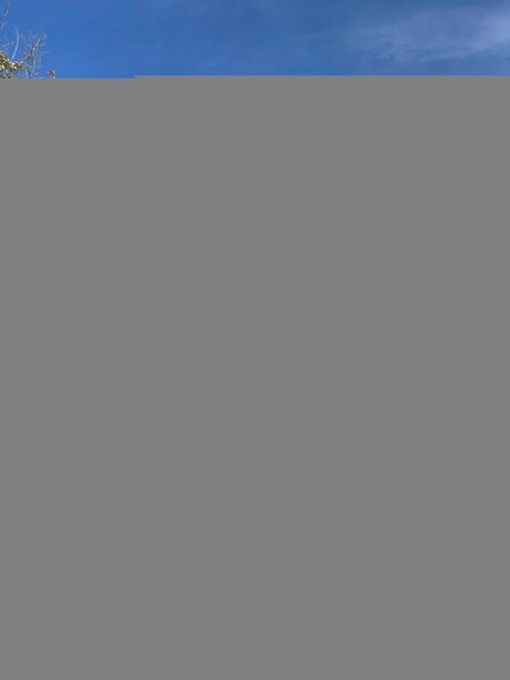 Tristamariemcg