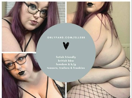 Thebbwbible