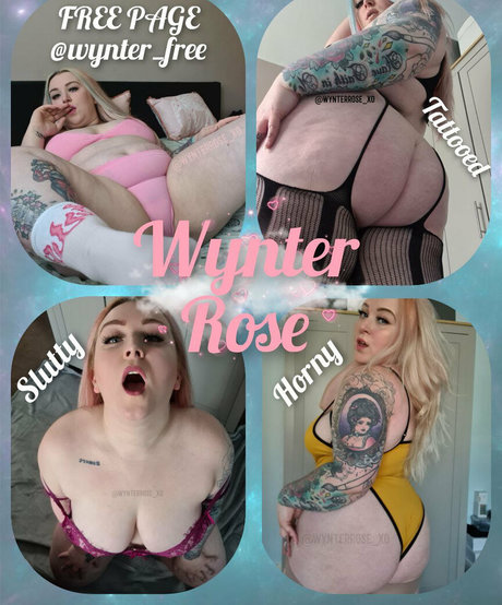 Thebbwbible