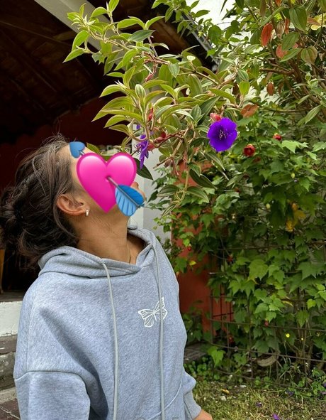 Avislovee