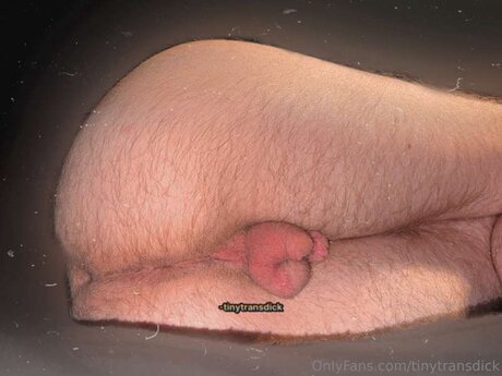 Tinytransdick OnlyFans泄露裸照
