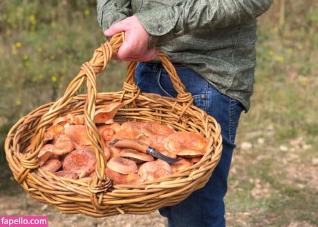 Magicmushroom