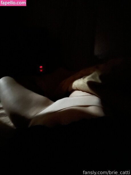 Briecattii OnlyFans 유출 누드 사진