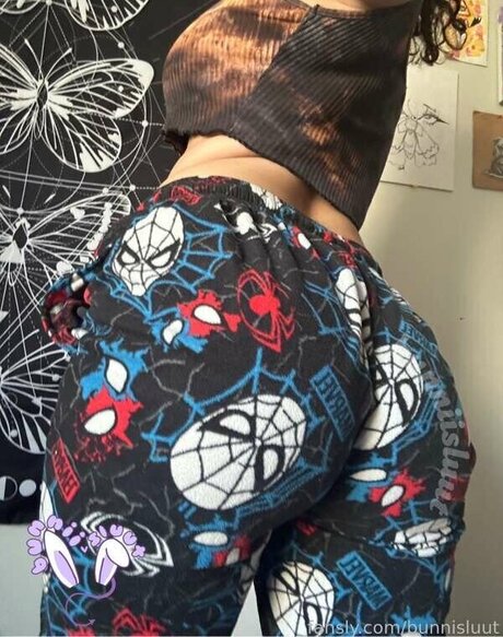 Bunnisluut