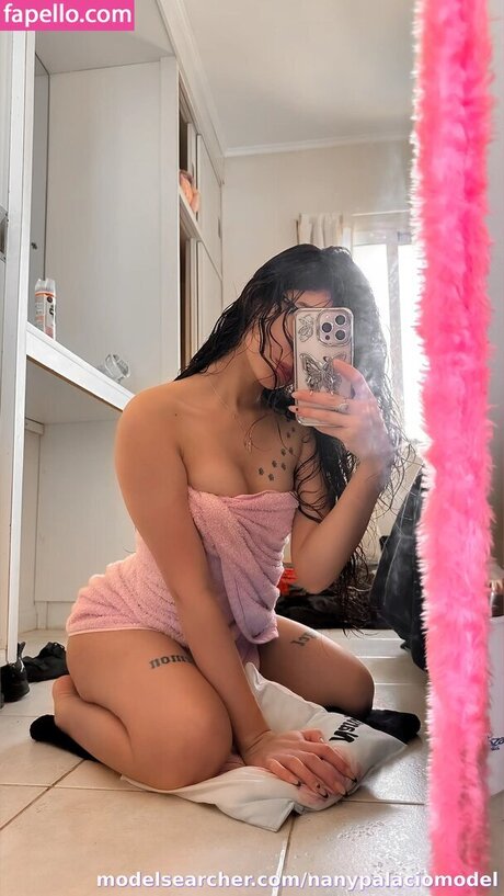 Nany Palacio