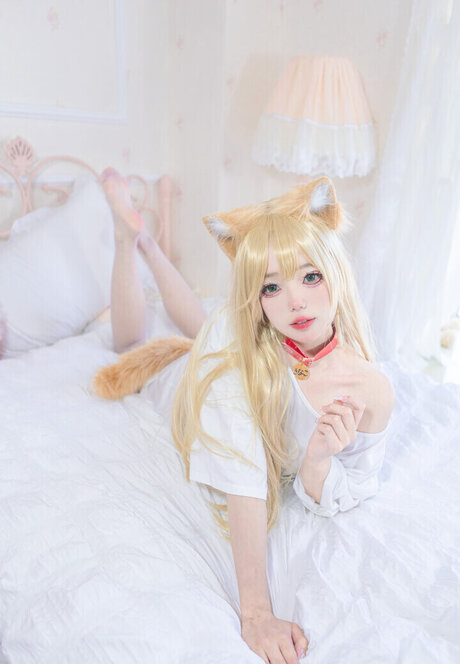Yaokoututu