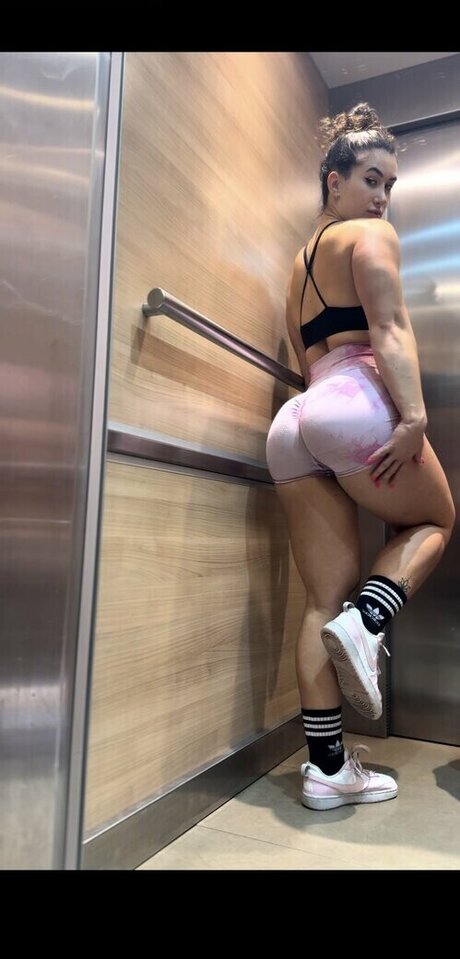 Anaisvelvet