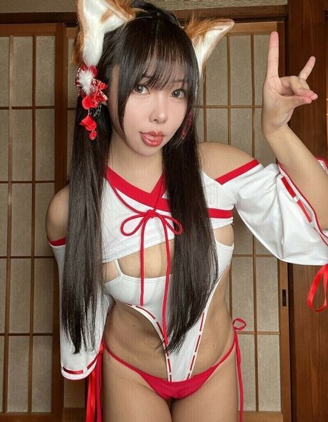 Bokunopurin