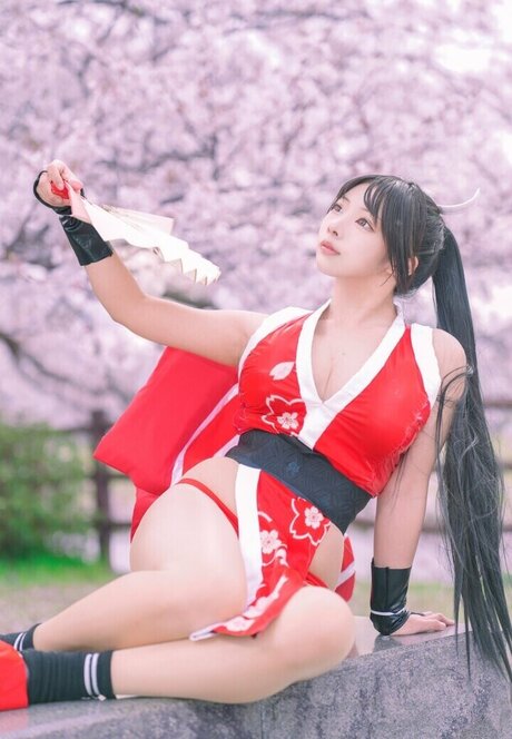Bokunopurin