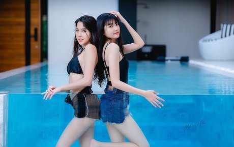 Baibaifern