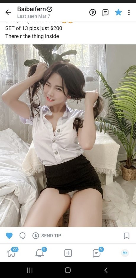 Baibaifern
