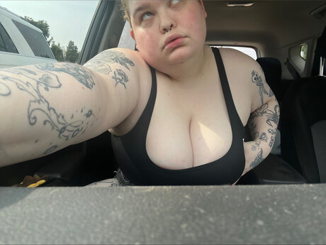 Dani