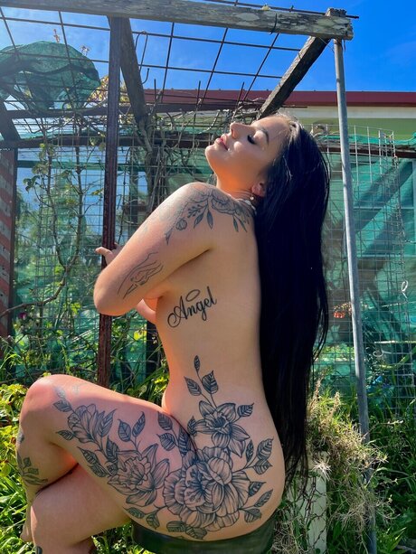 Kim 