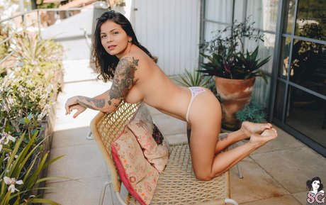 Jeeh Suicide