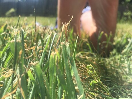 Обнаженная фотография утечки OnlyFans от Jamaicansize11