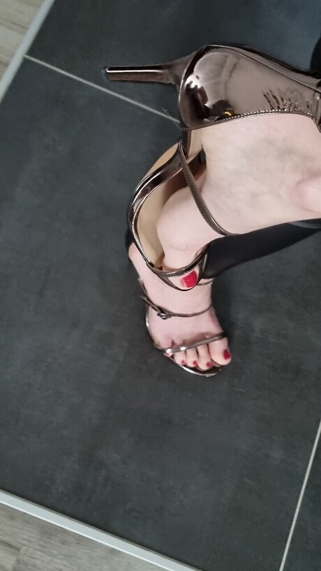 Ladylucy