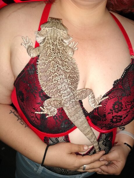 Bad Bitches