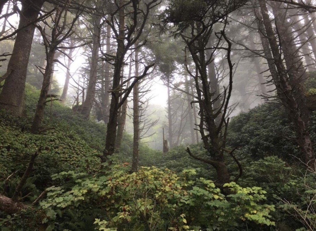 Foto desnuda filtrada de OnlyFans de Maddi Atterton #2