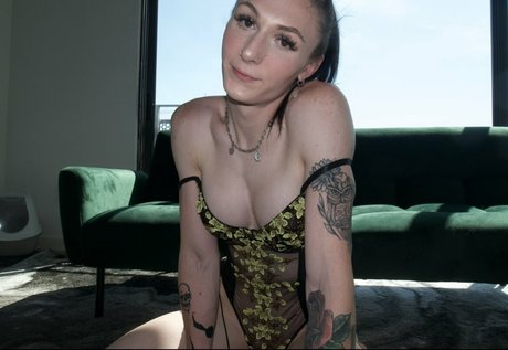 Nikki North