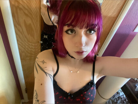 Katt