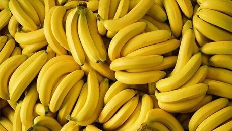 Naakte gelekte OnlyFans-foto van Banana Bikini 