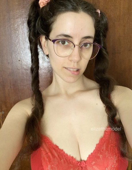 Elizathemodel
