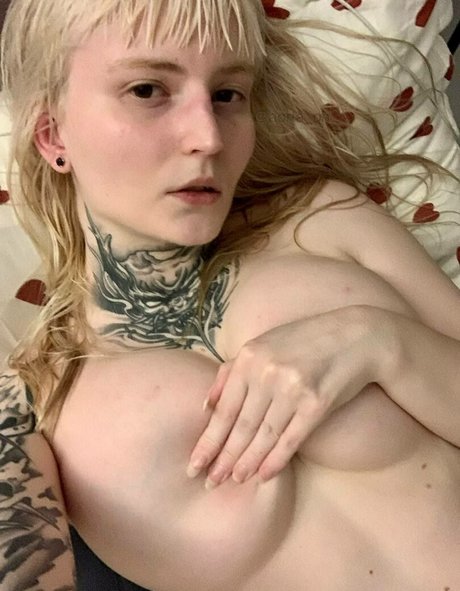 Aorta