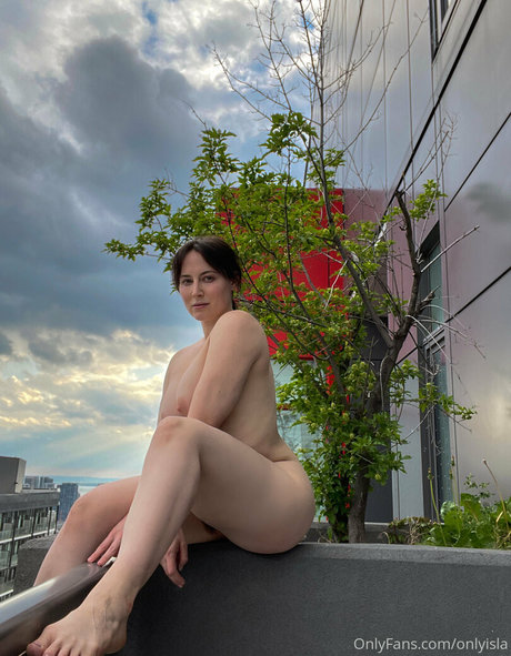 Isla David