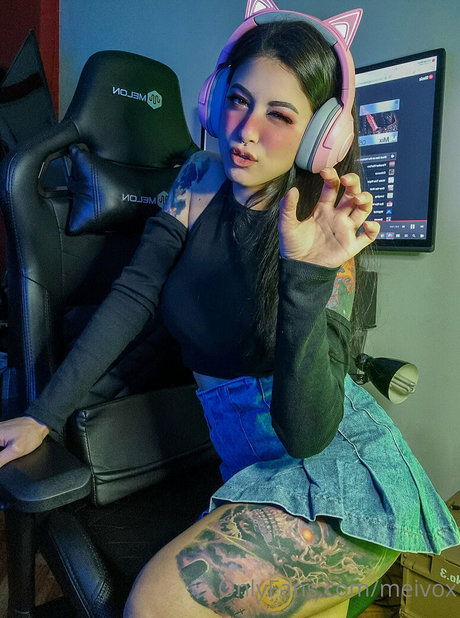 Meivox