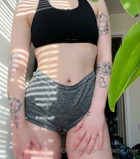 Phoebemae