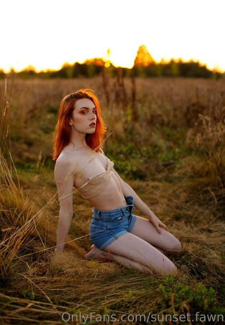 Sunsetfawn