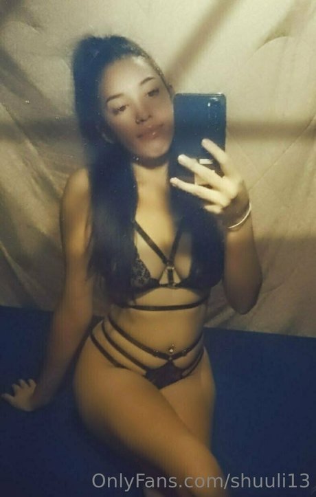 Shuuli13
