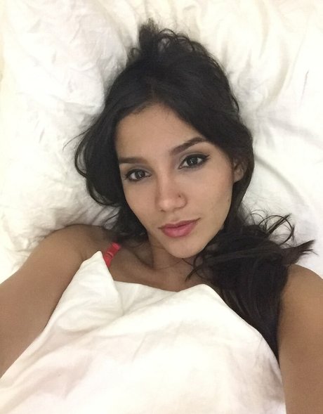 Abiesmith