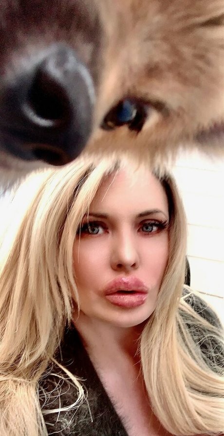 Foxymenagerieverre