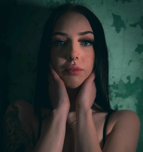 Jensteviexo