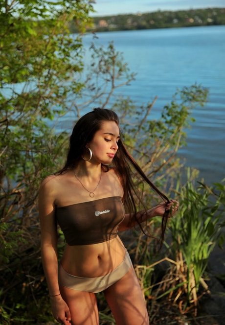 Lisi Flex
