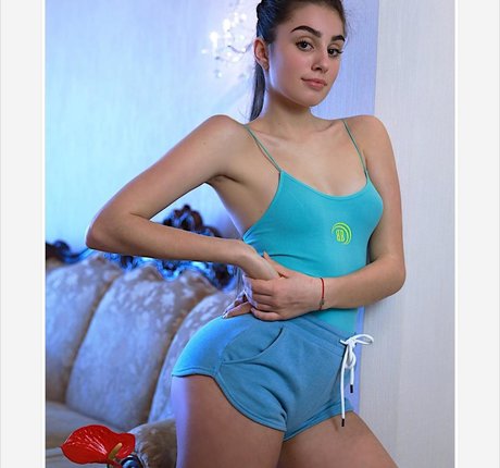 Lisi Flex