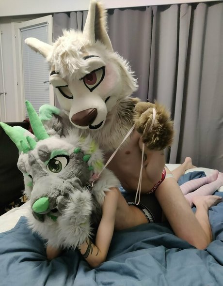 Midorifox