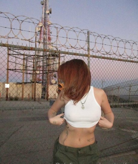 Renatarifree