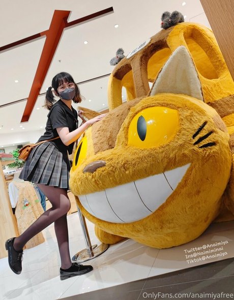 Anaimiyafree