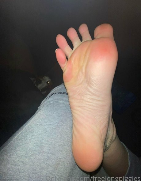 Freelongpiggies