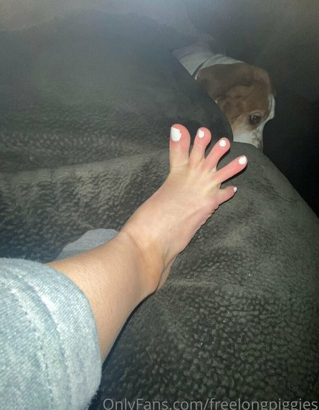 Freelongpiggies