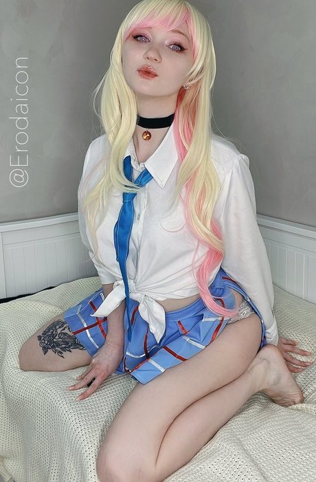 Erodaicon
