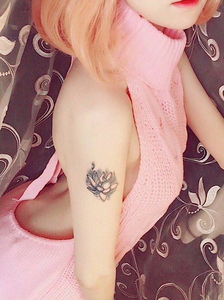 Erodaicon